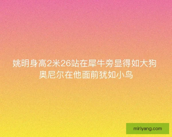 姚明身高2米26站在犀牛旁显得如大狗 奥尼尔在他面前犹如小鸟