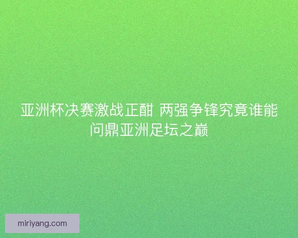 亚洲杯决赛激战正酣 两强争锋究竟谁能问鼎亚洲足坛之巅